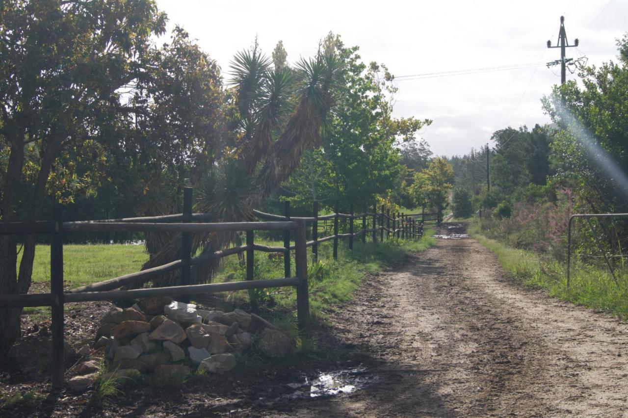 Kurland Buffelsdam Country House מראה חיצוני תמונה