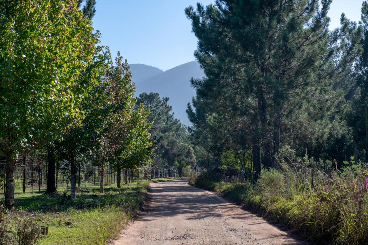 Kurland Buffelsdam Country House מראה חיצוני תמונה